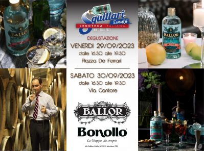Degustazione con il produttore: Distillerie BONOLLO presentano il GIN BALLOR